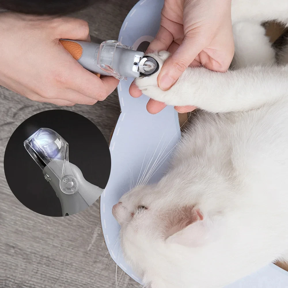 Forbici professionali per unghie di animali domestici con Luce LED - immagine 5