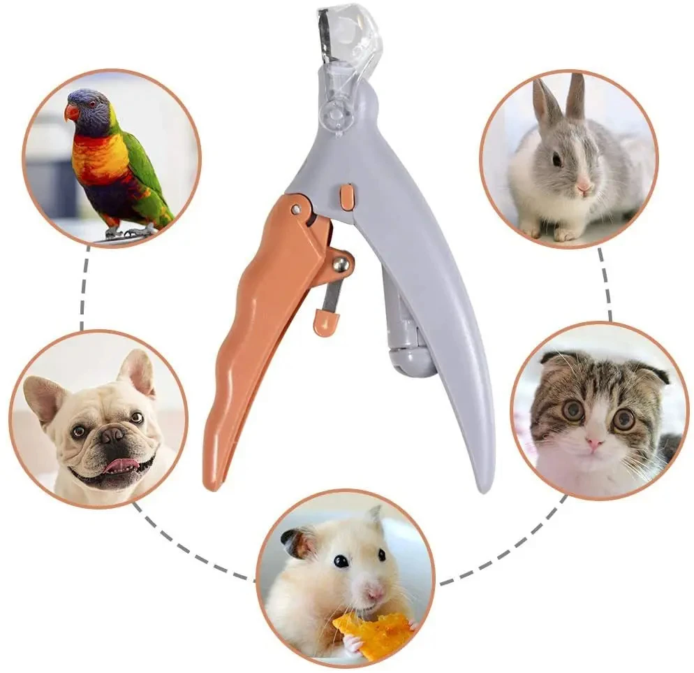 Forbici professionali per unghie di animali domestici con Luce LED - immagine 2