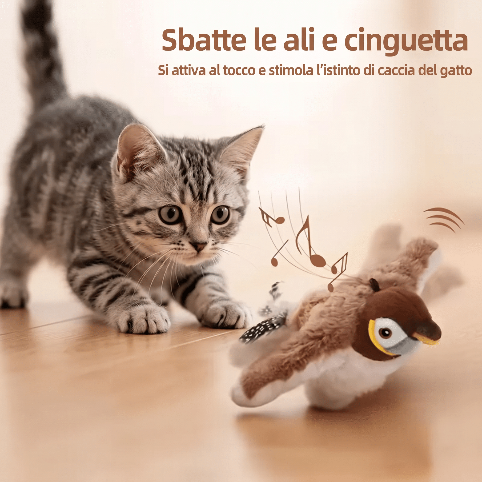 uccellino gatto