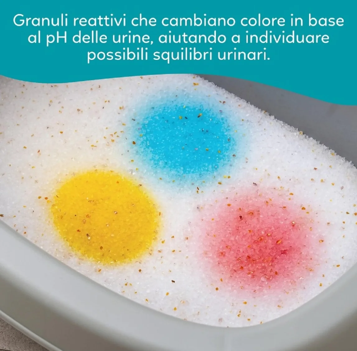 Lettiera gatto in silicio - immagine 6